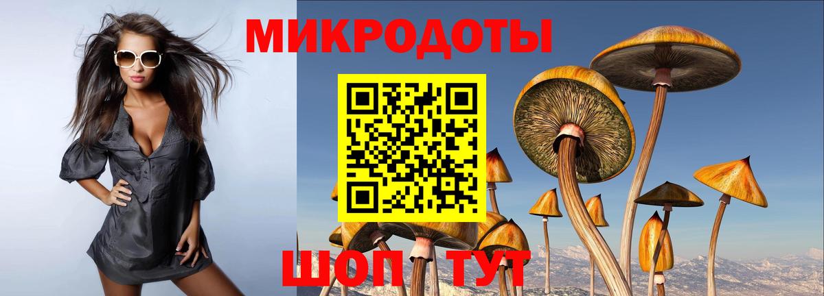 Вольск  Псилоцибиновые грибы GOLDEN TEACHER  как найти   Вход с VPN 