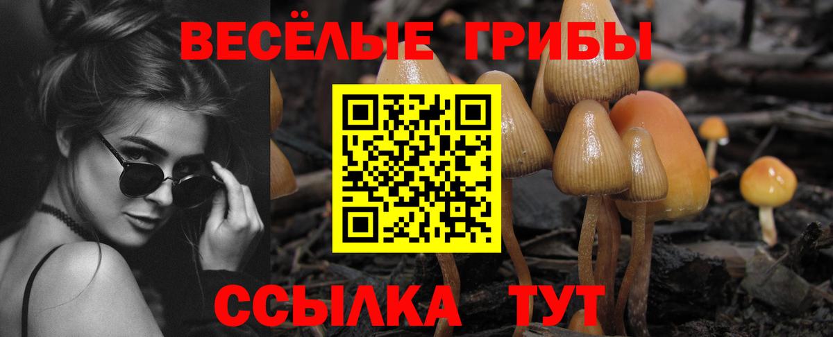 Галлюциногенные грибы MAGIC MUSHROOMS Вольск